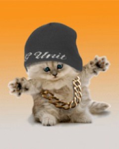hip_hop_cat-1-.jpg